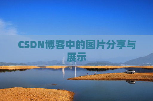 CSDN博客中的图片分享与展示